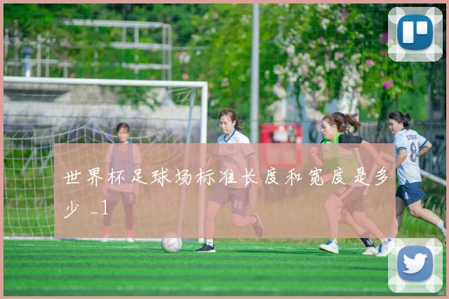 世界杯足球场标准长度和宽度是多少 _1
