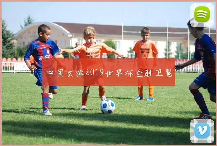 中国女排2019世界杯全胜卫冕